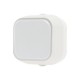GEYER Διακόπτης απλός IP54 H2-B110M-W λευκός
