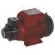 RAIDER Αντλία ηλεκ. περιφερειακή νερού RD-PK60 370W 070101