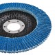 RAIDER Δίσκος φυλλαράκι Φ125 G60 164132