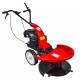 RAIDER Αυτοκινούμενος καταστροφέας βενζίνης 4hp RD-DM01 075017