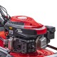 RAIDER Μηχανή γκαζόν βενζινοκίνητη RD-GLM11 5hp 530mm 70L 075006